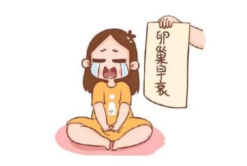 优势卵泡大小受哪些因素影响？综合因素分析速览！