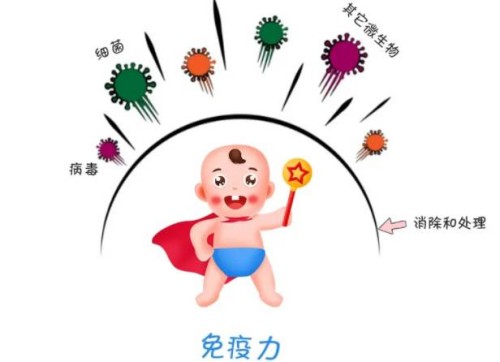 杭州代怀：﻿女性如何处理宫外孕是对身体的损伤最小的呢？