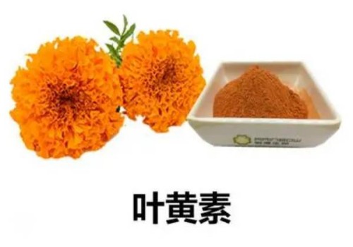 杭州代怀生子机构：﻿28周早产儿住45天暖箱所需费用，最多不超过3000元
