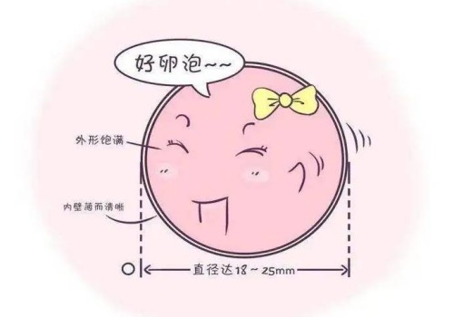杭州代怀双胞胎：﻿三代试管适应什么人群，卵泡质量不好能做吗