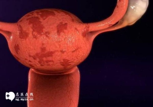 杭州代生男孩：﻿试管婴儿着床晚胚芽是否也晚？不用担心，影响不大