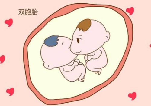 杭州代怀生子机构：﻿2023南昌大学附三院试管婴儿生孩子指南，一文了解助孕成功率多少